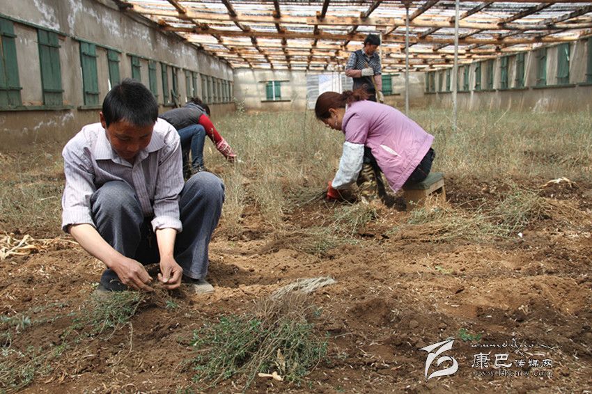 實施六大戰(zhàn)略——生態(tài)文明建設篇