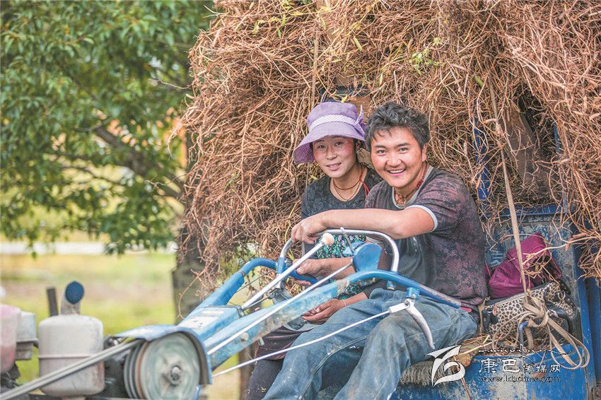 豐收的喜悅(康巴傳媒網首屆紀實攝影大賽)