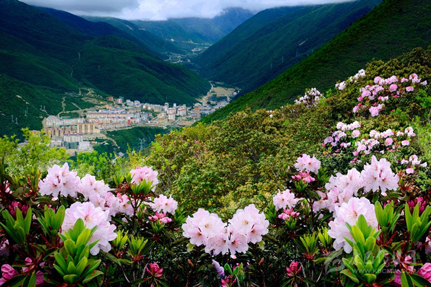 康定情歌風(fēng)景區(qū)春光惹人醉