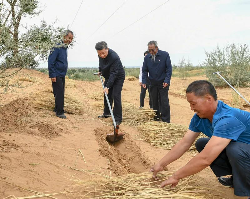 2019年8月21日，習近平來到甘肅省武威市古浪縣八步沙林場，實地察看當?shù)刂紊吃炝帧⑸鷳B(tài)保護等情況。新華社記者 謝環(huán)馳 攝