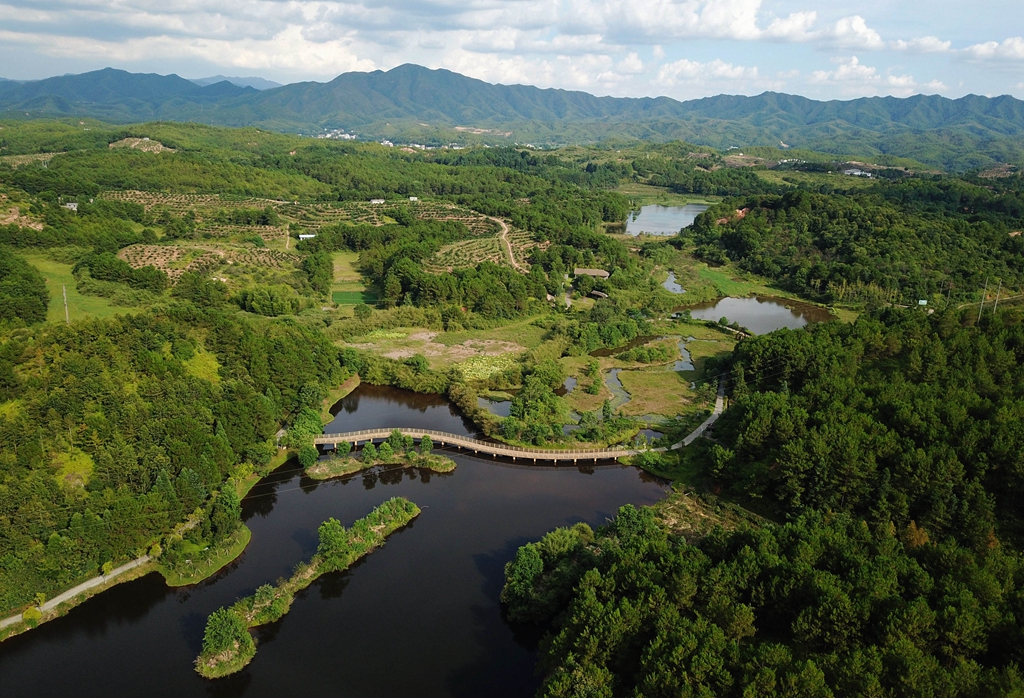 福建省龍巖市長(zhǎng)汀縣的長(zhǎng)汀汀江國(guó)家濕地公園景色（2020年7月28日攝，無(wú)人機(jī)照片）。新華社記者 魏培全 攝