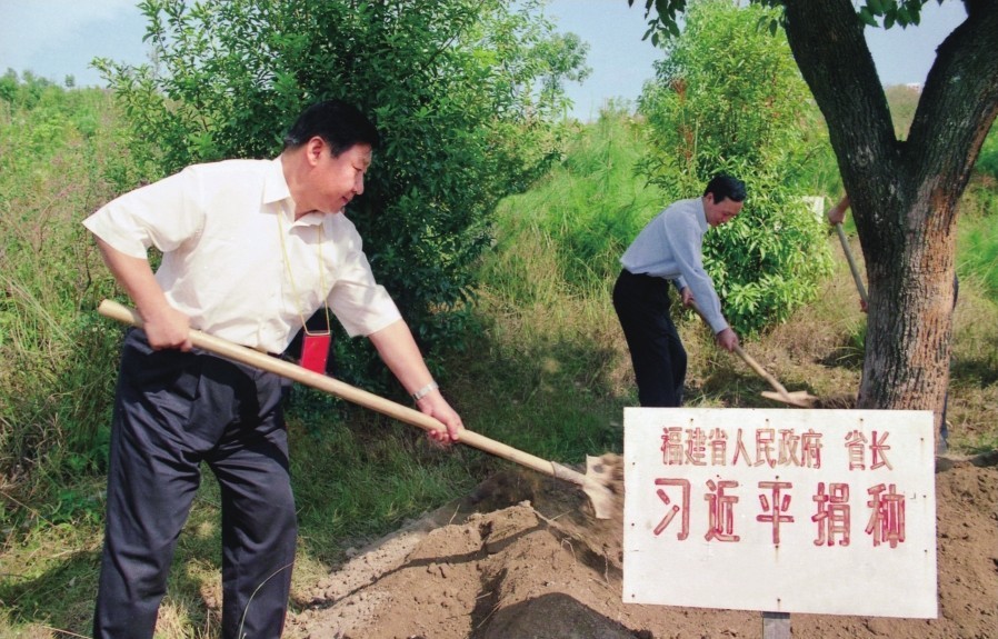 2001年10月，習(xí)近平在龍巖市長(zhǎng)汀縣調(diào)研水土流失治理工作，在河田世紀(jì)生態(tài)園為樹培土。圖源：《習(xí)近平在福建（下）》