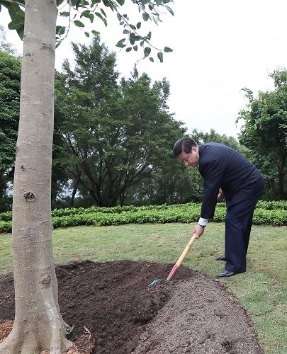 2012年12月7日至11日，習(xí)近平在廣東省考察工作。這是8日上午，習(xí)近平在深圳蓮花山公園種下一棵高山榕樹。新華社記者 蘭紅光 攝